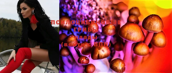 гидропоника Алексеевка