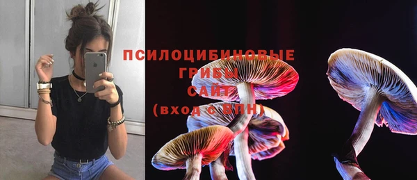 гидропоника Алексеевка
