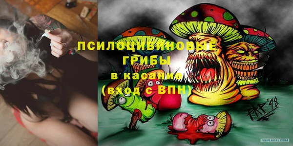 гидропоника Алексеевка