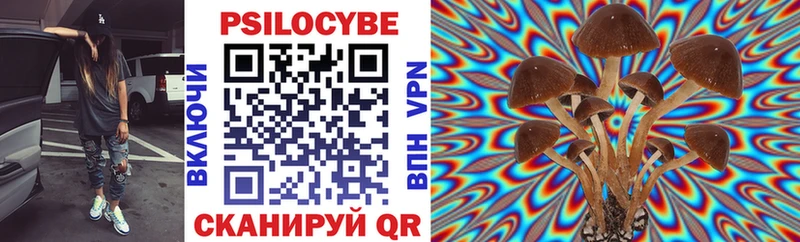 где продают наркотики  Коркино  Галлюциногенные грибы Psilocybine cubensis 
